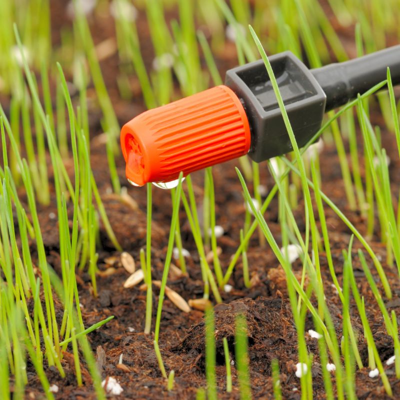 Application of Irrigation Dripper (5)