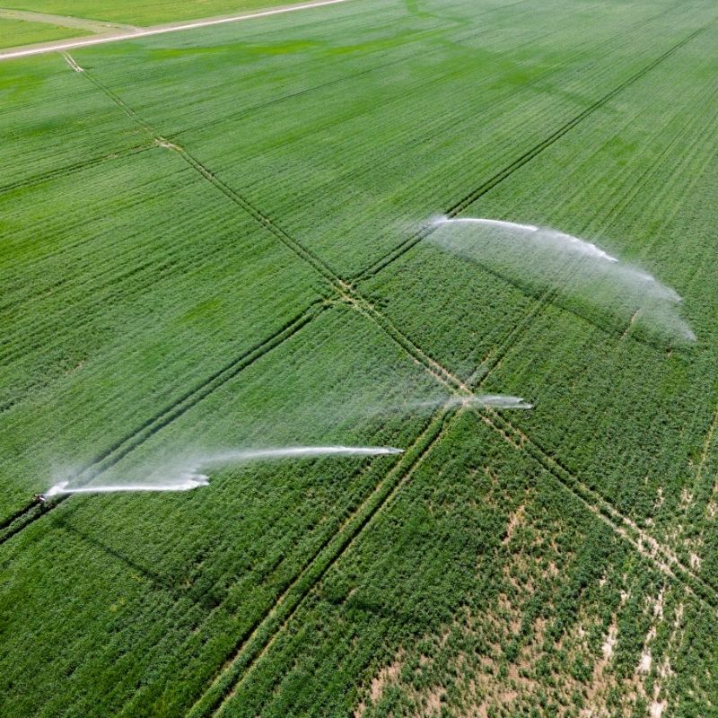 レインガンの適用 (1)