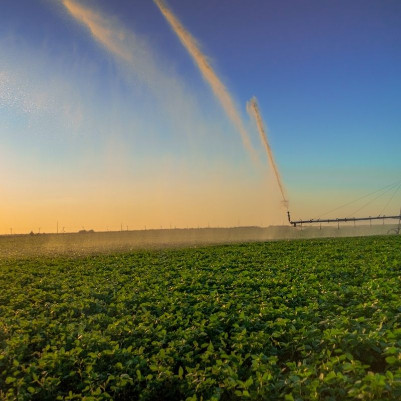 レインガンの適用 (2)