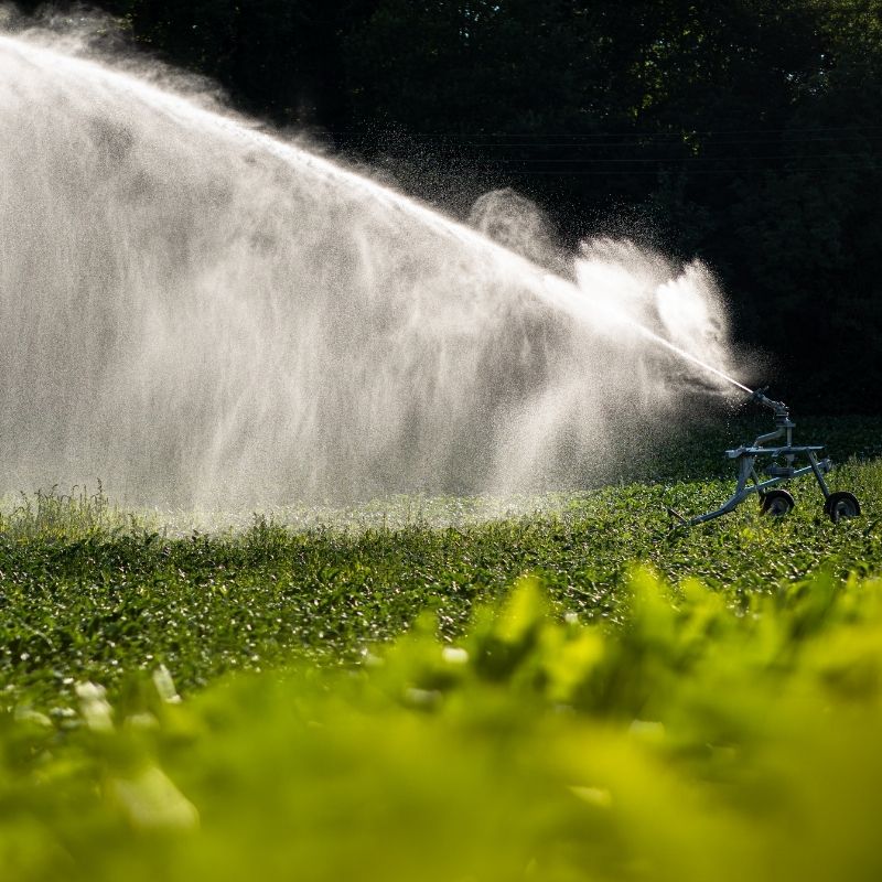 レインガンの適用 (4)