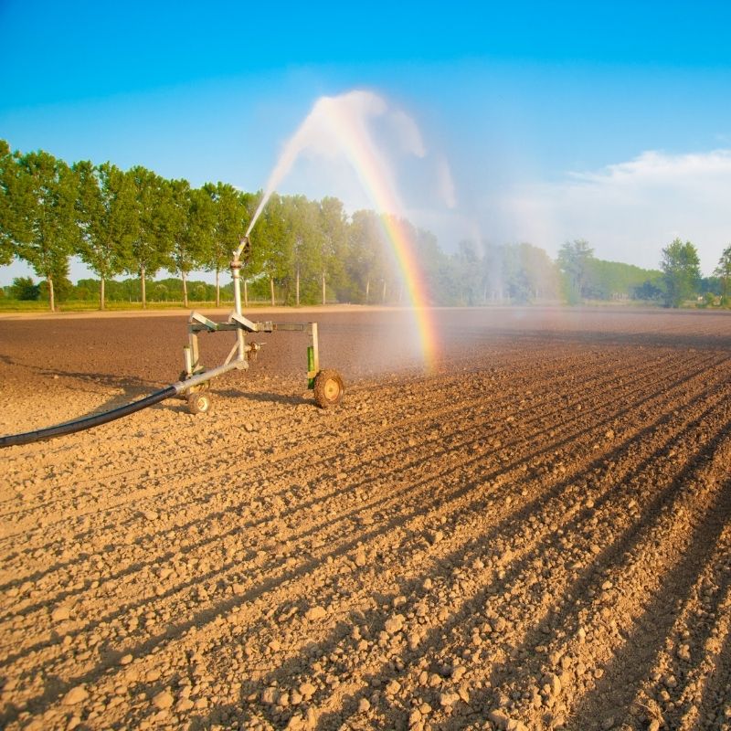 レインガンの適用 (5)