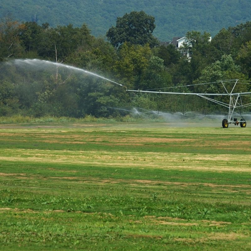 レインガンの適用 (6)