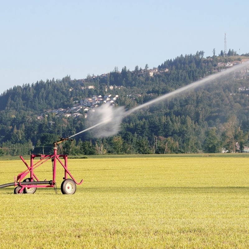 レインガンの適用 (7)