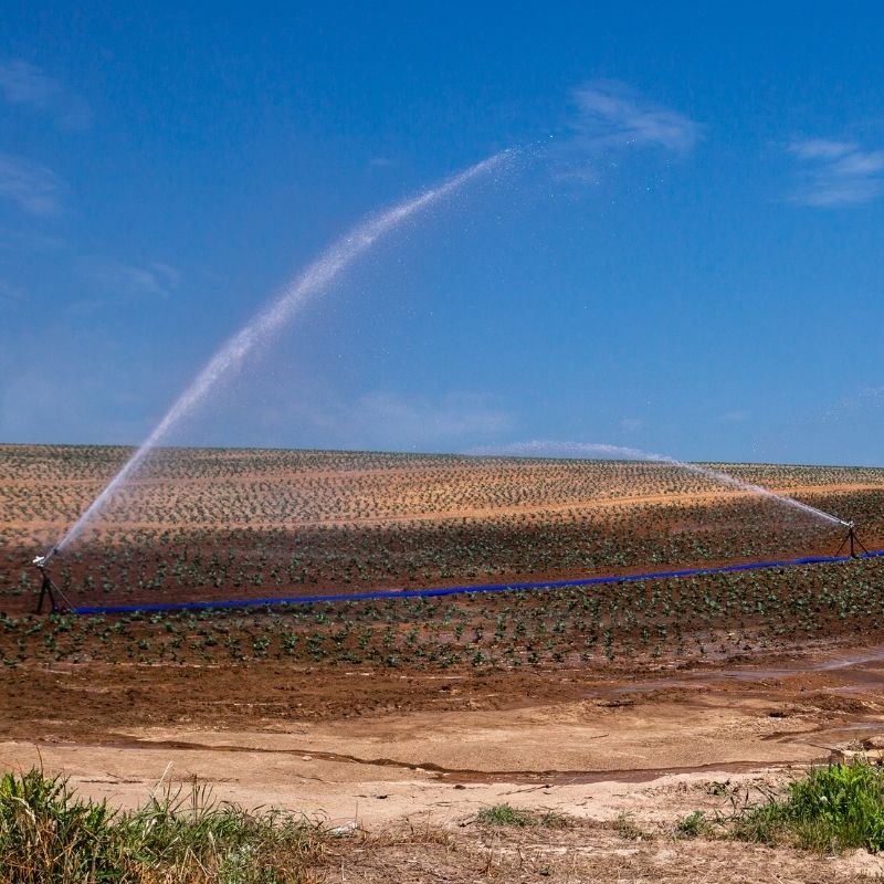 レインガンの適用 (8)