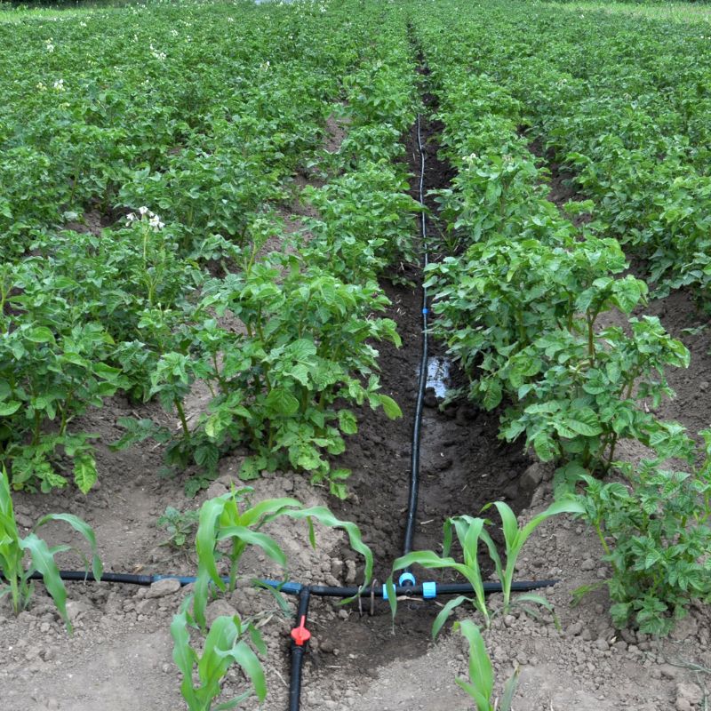 Drip Irrigation Mini Fittings (3)