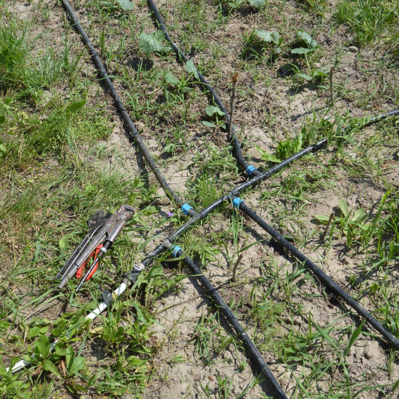 Drip Irrigation Mini Fittings (6)