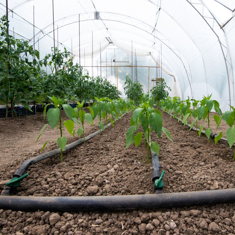 Drip Irrigation Mini Fittings2 (4)