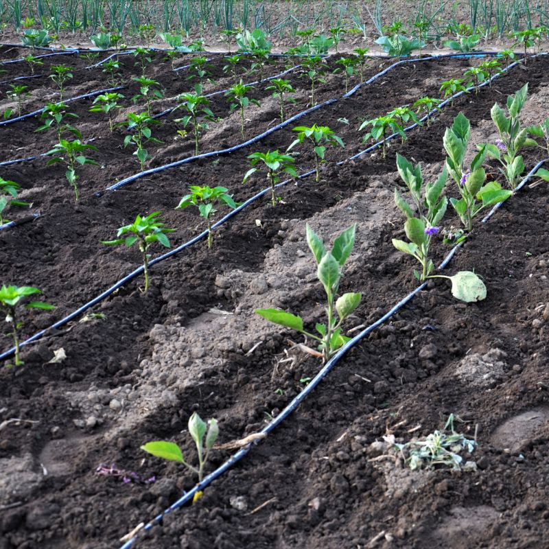 Maombi ya Umwagiliaji wa Umwagiliaji (1)