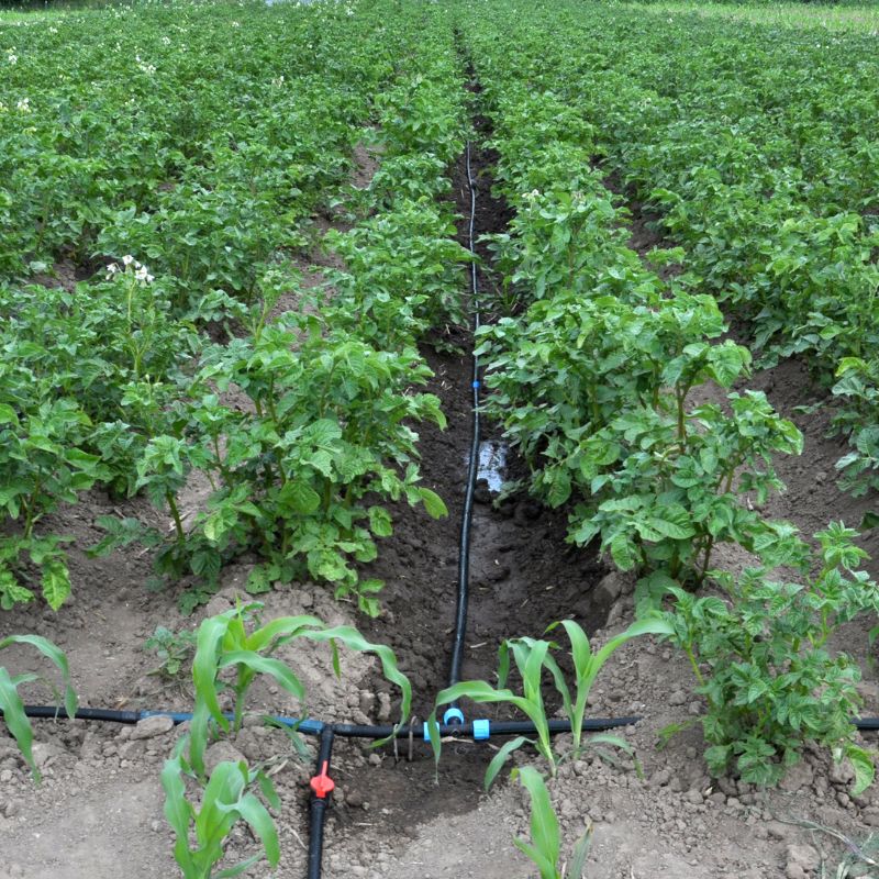 Maombi ya Umwagiliaji wa Umwagiliaji (2)