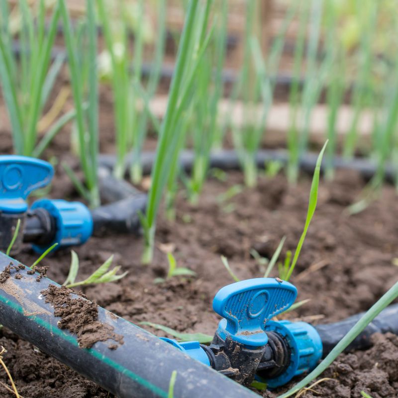 Maombi ya Umwagiliaji wa Umwagiliaji (3)