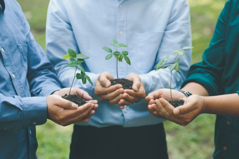 Illustration - 농업