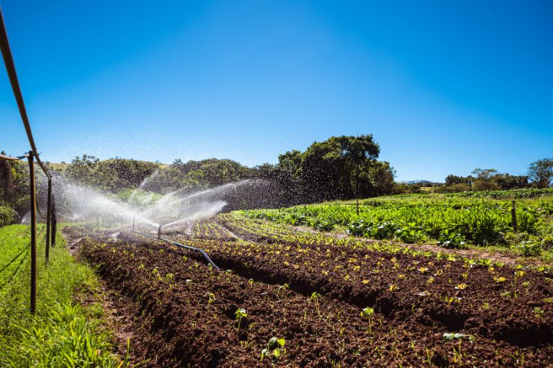 ပုံဥပမာ - စိတ်ကြိုက်ဖြေရှင်းနည်းများ