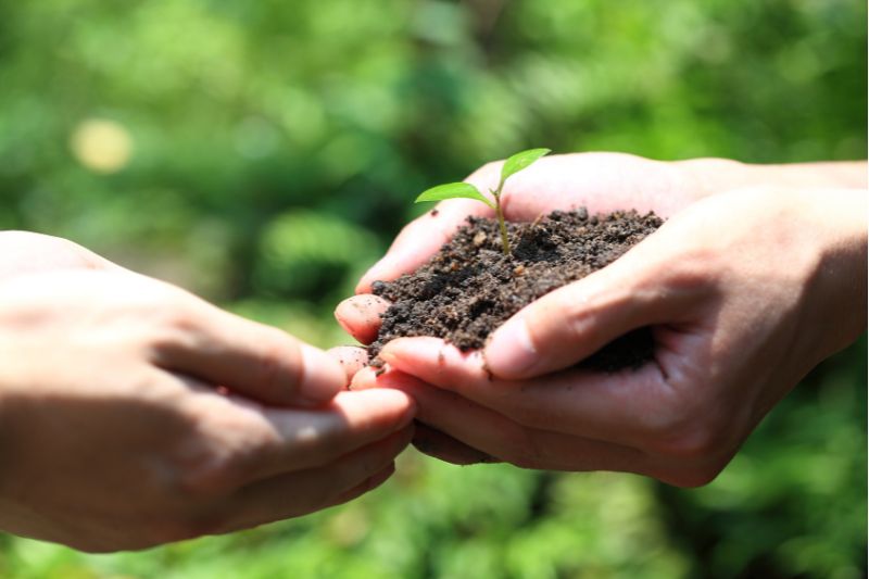 ပုံသဏ် ful ာရေးဆိုင်ရာအတွေးအခေါ်ပုံ