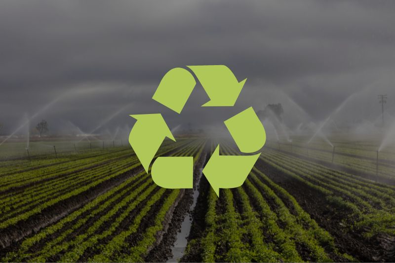 Illustration-Environmental Protection