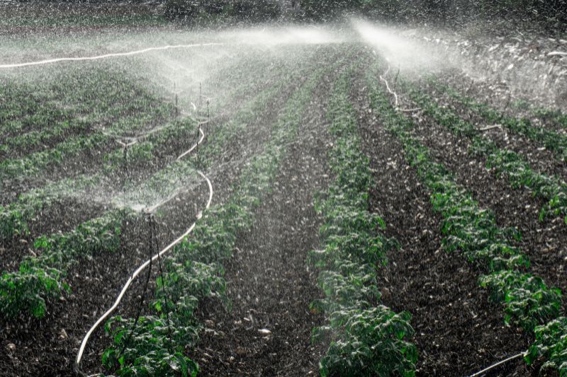 Illustration - 관개