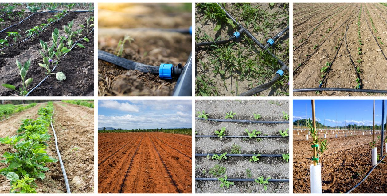 Drip Tape Application Scenes