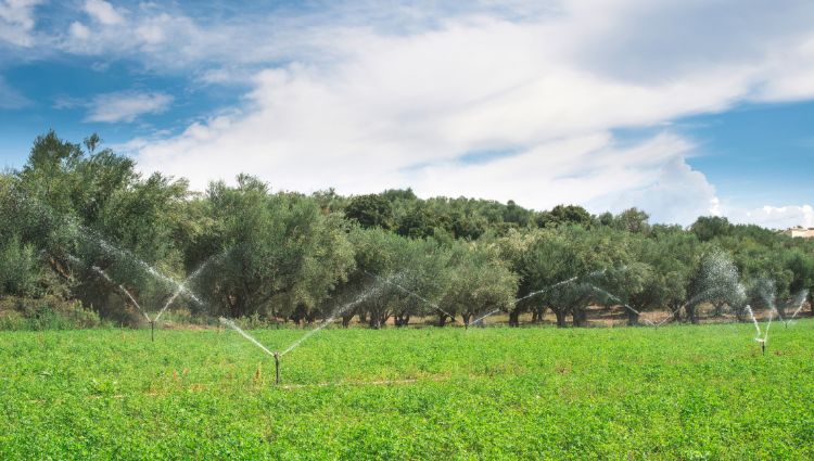 Blog Cover-Irrigation System