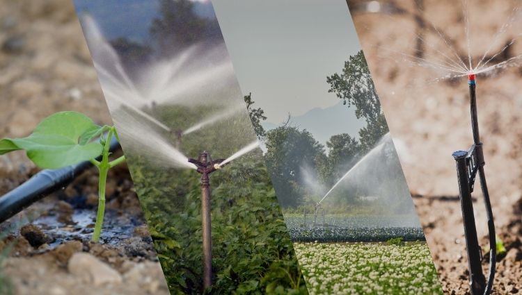 Blog -Hauptbild - Bewässerungssysteme