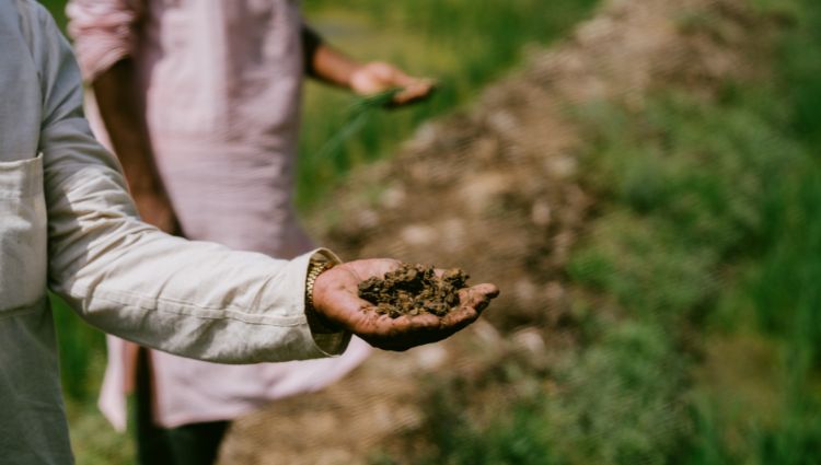 Soil Moisture and Water Content in Agricultural Irrigation