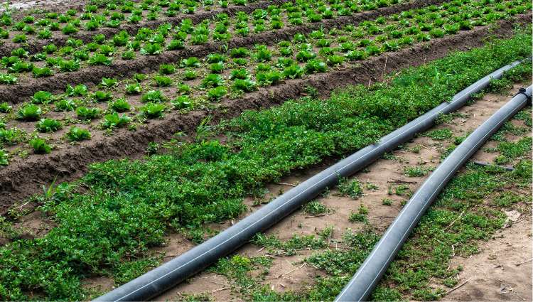 Plastikowe rury irygacyjne