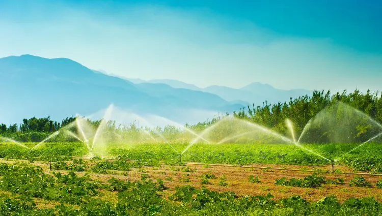 Agricultural Irrigation