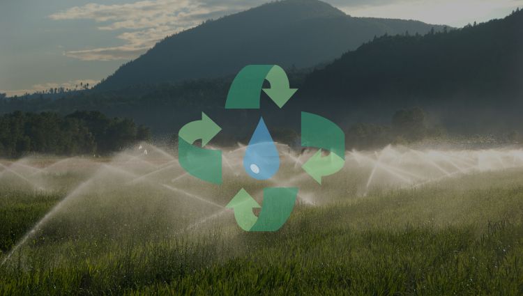 Recycled water for irrigation systems