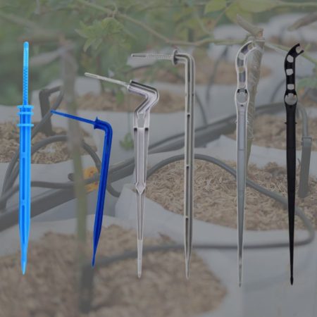 Taruhan panah tetesan Arrow Drip Stakes