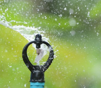 Butterfly Sprinkler Butterfly Sprinkler