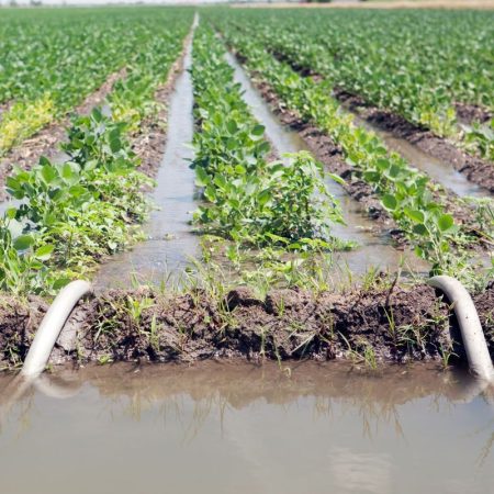 Drip Irrigation System Solution Background (2) Drip Irrigation System Solution Background (2)