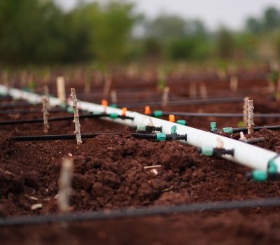Sistem irigasi tetes Drip Irrigation System