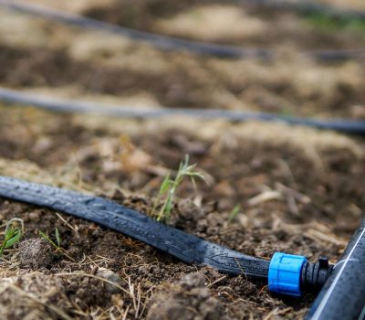 Drip Tape (2) Drip Tape (2)