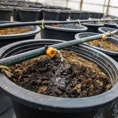 Dripper (1) Dripper (1)