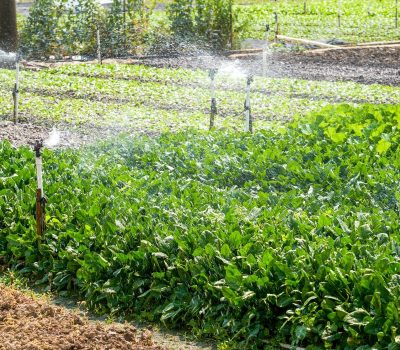 灌溉洒水器 Irrigation Sprinklers