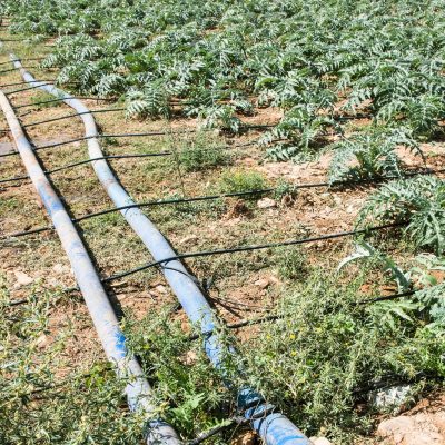 Lay Flat Hose-1 (1) Lay Flat Hose-1 (1)