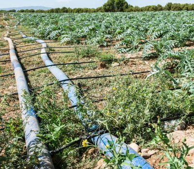 Lay Flat Hose (2) Lay Flat Hose (2)