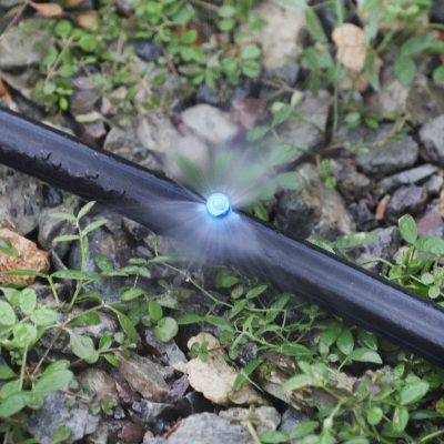 Dysze (2) Nozzles (2)