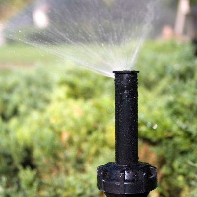 Pop Up Sprinkler (1) Pop Up Sprinkler (1)