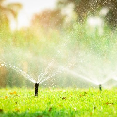 Pop Up Sprinkler (3) Pop Up Sprinkler (3)