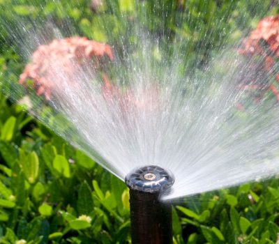 Pop Up Sprinkler Pop Up Sprinkler