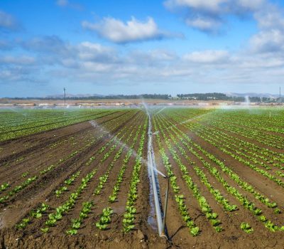 Sprinkler Irrigation System Sprinkler Irrigation System